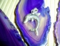 Preview: SPRINGENDER DELPHIN