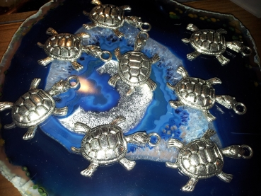 A - GROSSE SCHILDKRÖTE