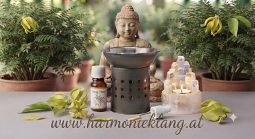 YLANG YLANG