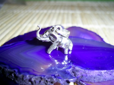 ELEFANT KLEIN